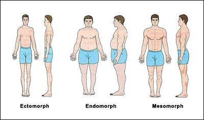 somatotype body types Body type eating: Find out whether its right for you.
