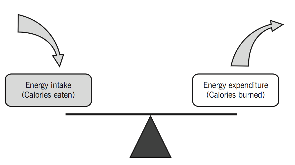 All About Energy Balance