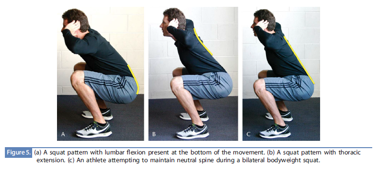 flexion extension and neutral spine All About The Squat