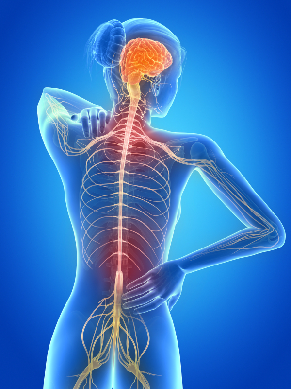 medical 3d illustration - female having backache