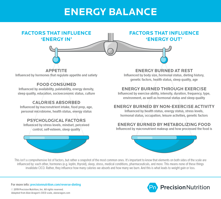 Energy balance scale with factors that influence energy in on the left and factors that influence energy out on the right.