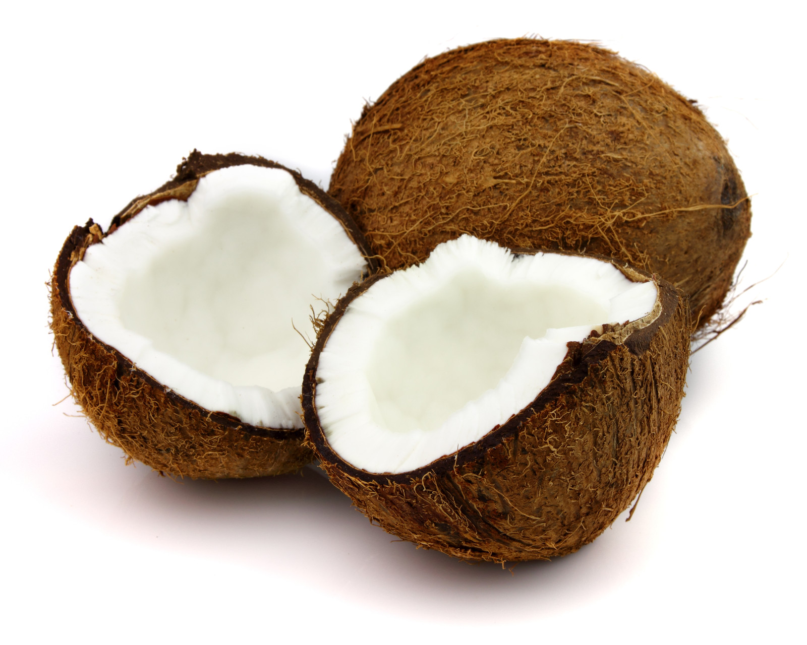 coconuts All About Plant Oils