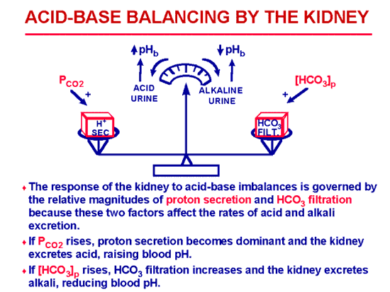 is calcium affect kidneys