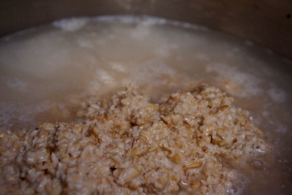 Fermenting grains in a pot