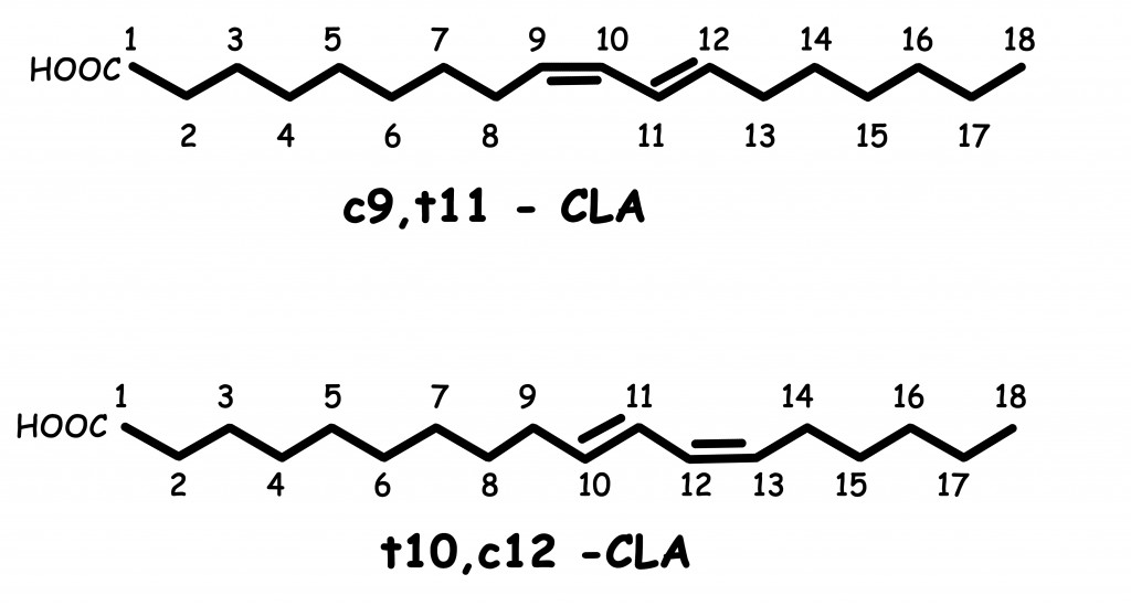 Figure 1 - CLAs