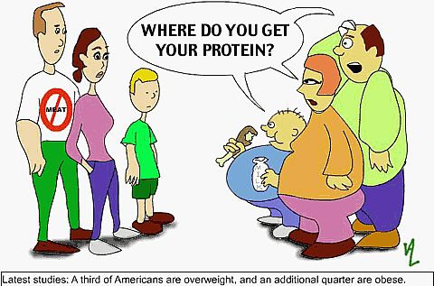 where-do-you-get-protein