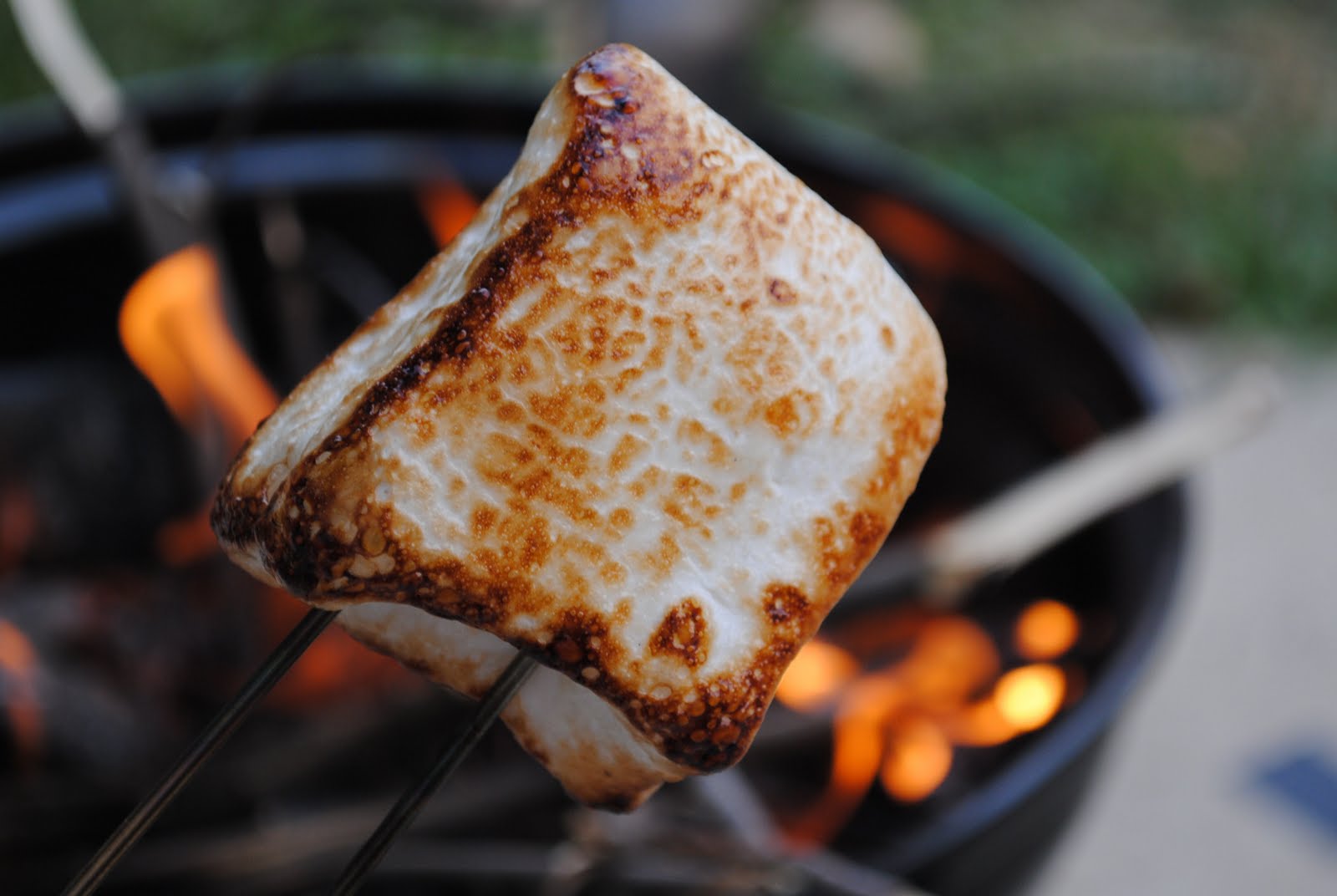 roasted-marshmallow