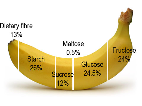 This is what the breakdown of sugars looks like in a banana.