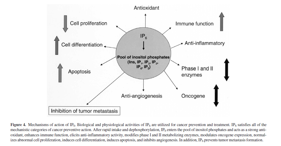 Mode of action - anticancer properties