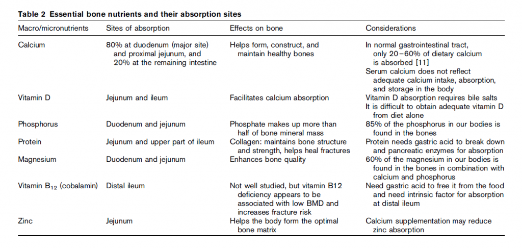 Essential bone nutrients and absorption sites