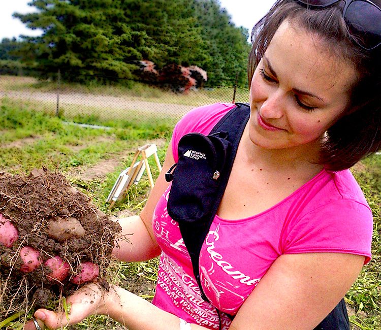 Sarah-Maughan---at-a-farm-picking-potatoes-and-veggies