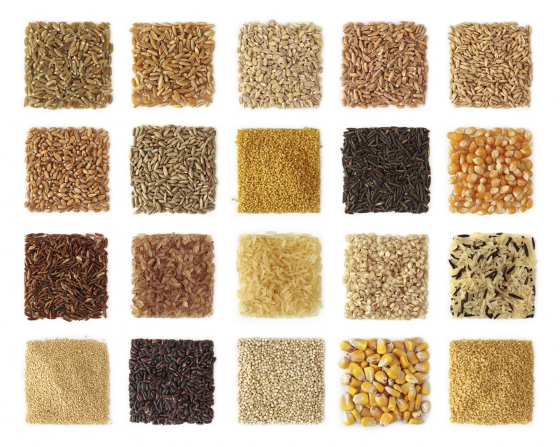 Settling the great grain debate. Can wheat and other grains fit into a