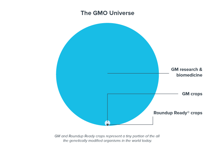 The-GMO-Universe-3-2