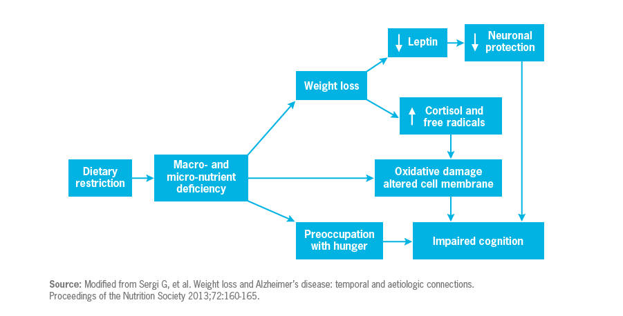 How dietary restriction and excessive weight loss could play a role in Alzheimer’s development.
