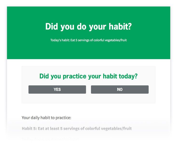 More detail about each habit / practice.