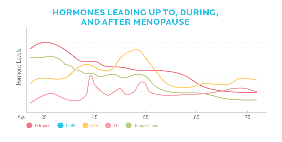 hormones before during after menopause | The Menopause Association