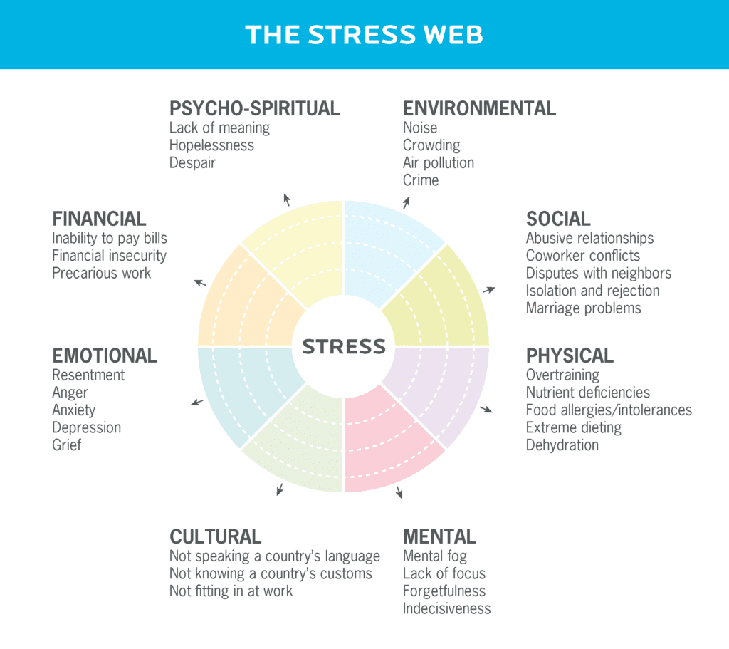 A graphic called "the stress web" shows 8 stress dimensions: phycho-spiritual, environmental, social, physical, mental, emotional, and financial. 