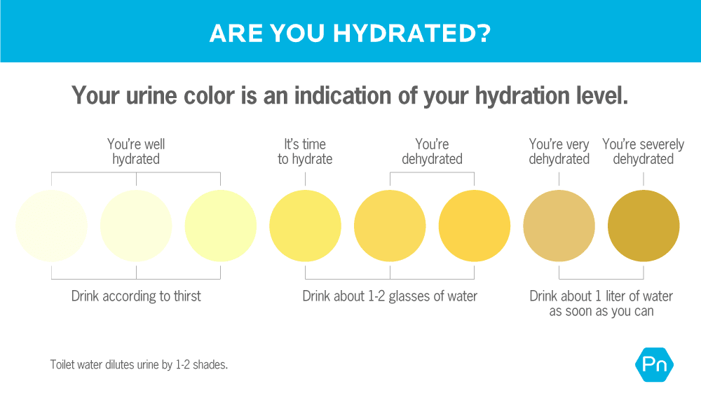 This charts shows how to gauge your hydration level, based on the color of your urine. If your urine is almost clear to pale yellow, you're well hydrated, and you can drink according to thirst. If your urine is bright to slightly dark yellow, you need to hydrate with one to two glasses of water. If your urine is dark yellow to brownish yellow, you're very dehydrated, and should drink one liter of water as soon as you can. Please note that toilet water will dilute urine by one to two shades. 